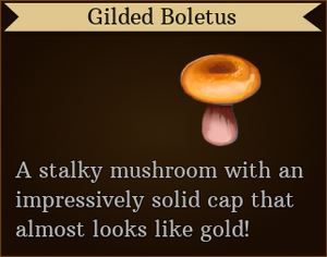 Tooltip Gilded Boletus.png