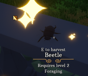 Screenshot Beetle.png