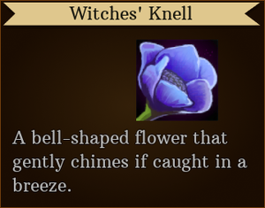 Tooltip Witches' Knell.png